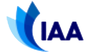 itt icon